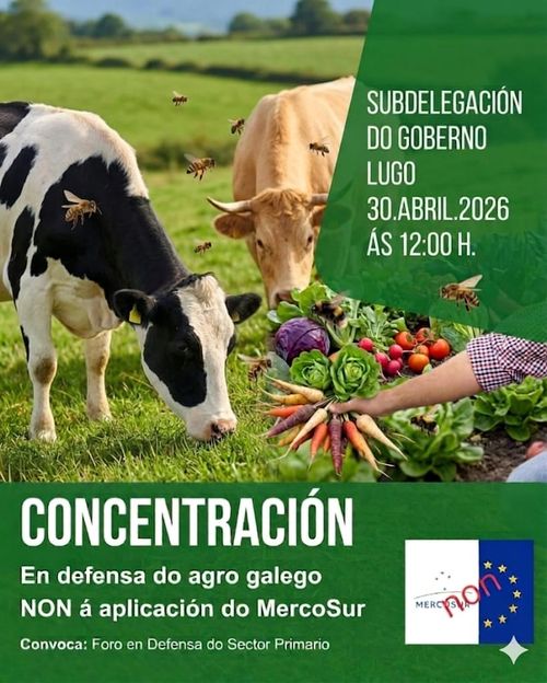 Concentración contra a aplicación de MercoSur